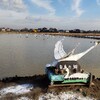 シベリアからの自由の使者🦢