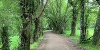 災害と人生の旅路