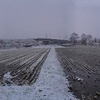 雪が積もり始める