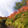 9月16日　美ヶ原〜北海岳の紅葉と生きものたち