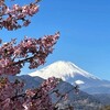松田山・・