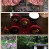 お大師様のおせったい