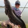 特別企画 全魚種対象フォトダービー№19　ごん太雷魚！