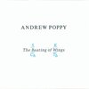 The Beating Of Wings / Andrew Poppy
