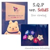 S.Q.P ver. SolidS レポ