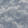 雪ってきれいなんだ