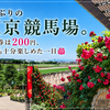 久しぶりの東京競馬場。馬券は200円、でも十分楽しめた一日🌹🐎