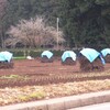 久しぶりの還元陶板浴と田園風景