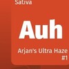 大麻の種類 Arjan's Ultra Haze＃1  