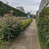 9/21(土)　1時間05分45秒　本日の一人歩き、午前の練習、Ｔ公園ベンチコース、１箇所難所があって、怖かった。手すりなし階段！エイヤッと飛び込んだら、力が出た！神さまが手伝ってくれたようだ！　午後は天空コースだ！８階までの階段とエレベーターを走破するぞ！走破完了！まで、56:54:29　天空へ登る８階まで、始めてのエレベーターで上がって、そのまま東の端へ　眺めが良い。怖いくらい！１階まで階段を下りて。3階まで徒歩で登る！本日合計、２時間歩いた！