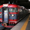 115系コカ・コーララッピング臨時列車
