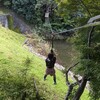 秋の３連休、フォレストアドベンチャ―へ！