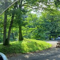 真夏の陽射しです❗