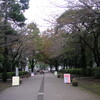 東京経済大学