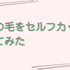 思いついて髪の毛を切ってみた話