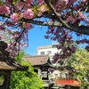 【京都】【御朱印】『六孫王神社』に行ってきました。 京都観光 そうだ京都行こう 