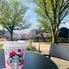 上野でお花見🌸