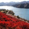 紅葉散策その① in 宮ケ瀬湖(鳥居原)