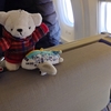 0泊3日の超弾丸シンガポール旅行①　なぜかいったん新千歳空港へ向かうお話。