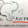 犬の下痢、対処からおなかを元気にする方法まで