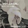 岸谷五朗主演の横山秀夫サスペンス『モノクロームの反転』あらすじ・感想
