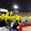 雨上がりの甲子園！ジェット風船も飛ばそうね(梅雨の甲子園編その4)(215)