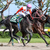 競馬初心者必見☆馬券予想🔥〜レパードS〜混戦の3歳ダート世代