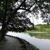 豊橋公園の緑