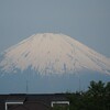 久々の戸川公園