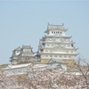 【旅行記】三宮・姫路1dayチケットで桜めぐり