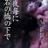 『夜毎に石の橋の下で』レオ・ペルッツ