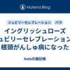 イングリッシュローズ ジュビリーセレブレーションが根頭がんしゅ病になった