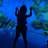 【妹母娘とﾜﾀｼの沖縄旅日記🍍2023夏】小さい子どもにおすすめ！沖縄の海をテーマにした水族館「DMMかりゆし水族館」
