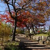 2023/11/29 二ツ池公園 