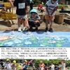 2024年6月14日 あじさいと雨