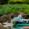 YouTube【22回目】更新。