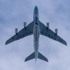  下地島空港にANAのA380型機フライングホヌが来たので見に行った（３）