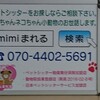 ペットシッターmimiまれる。