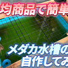 100均ダイソーグッズでDIYメダカ水槽のフタ作ってみた!