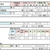 「竿状武器」　武器解説　（デモンズソウル攻略）