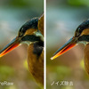 新しい Lightroom のノイズ除去と PureRaw の効果を，野鳥写真と星景写真で比べてみる