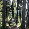 樹上テント で夢を叶えよう。