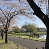 ロードバイクで山桜絶景の碑へ