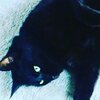 名古屋大須BLACK CAT　おは猫