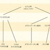 帝国の構造とスウドクと、、、