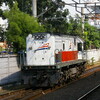 インドネシアの鉄道写真一覧(Trains in Indonesia, 印尼火车, Transportasi rel di Indonesia)