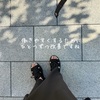 耳周りが大渋滞。仕事用メガネを見直しました。