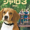 ビーグル犬　シャイロ３　最終章