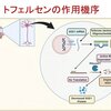 家族性ALSに対するトフェルセンについて理解しよう