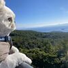 桜島アタック・・　鹿児島県垂水市～桜島